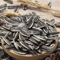 Fábrica chinesa fornece sementes de girassol de primeira qualidade 363